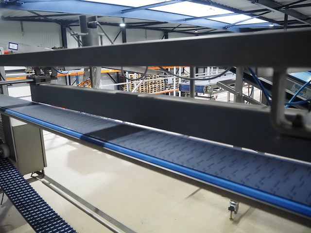 Lensink - afbeelding 13 van  14