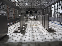 Lensink - afbeelding 9 van  11