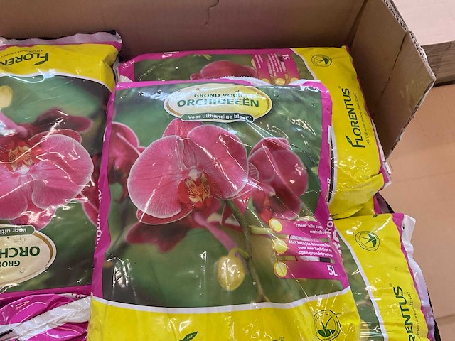 Lensli, egmond, florentus potgrond voor orchideeën, substraten (2x) - afbeelding 8 van  8