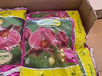 Lensli, egmond, florentus potgrond voor orchideeën, substraten (2x) - afbeelding 8 van  8