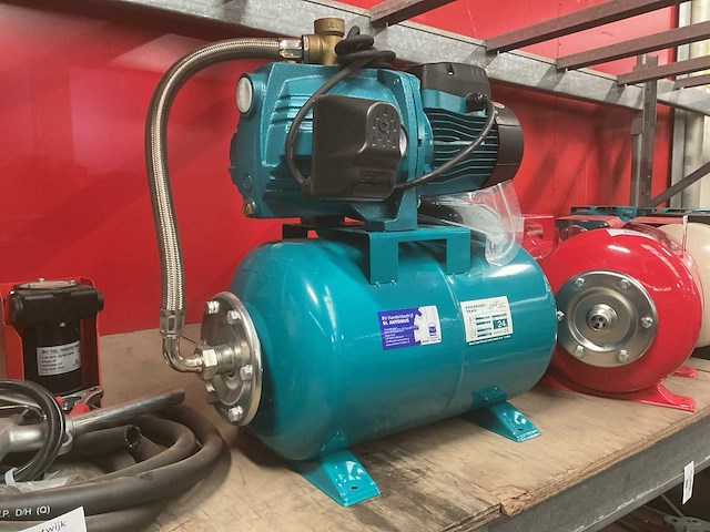 Leo pompunit - afbeelding 1 van  4