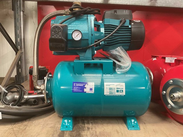 Leo pompunit - afbeelding 2 van  4