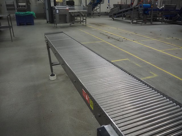 Leon torfs - afbeelding 6 van  8