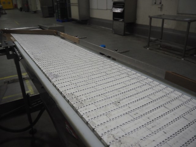 Leon torfs - afbeelding 6 van  8