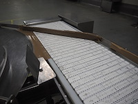 Leon torfs - afbeelding 7 van  8