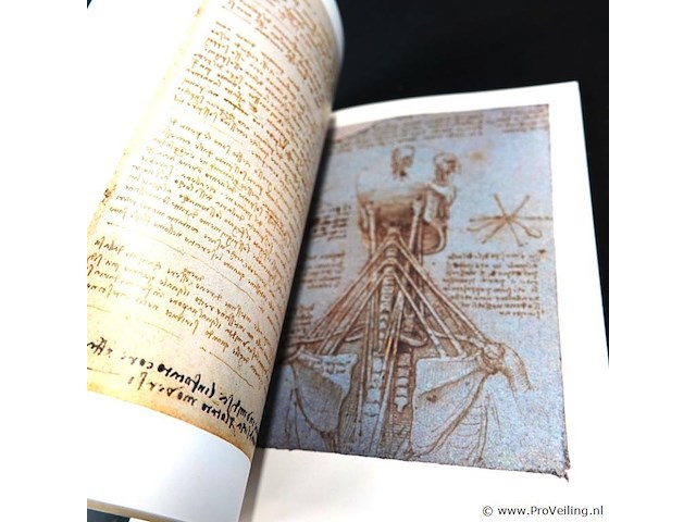 Leonardi da vinci. anatomische zeichnungen - afbeelding 4 van  5