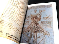 Leonardi da vinci. anatomische zeichnungen - afbeelding 4 van  5