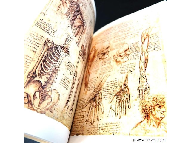 Leonardi da vinci. anatomische zeichnungen - afbeelding 5 van  5