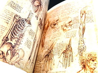 Leonardi da vinci. anatomische zeichnungen - afbeelding 5 van  5