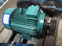 Leroy somer - afbeelding 2 van  6