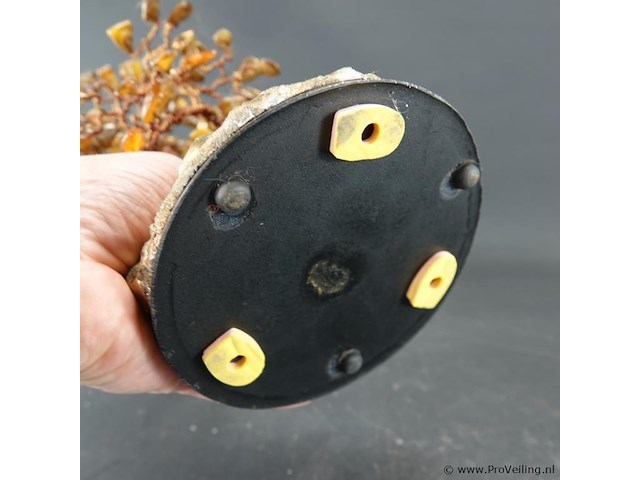 Levensboompje op stenen basement - afbeelding 5 van  5