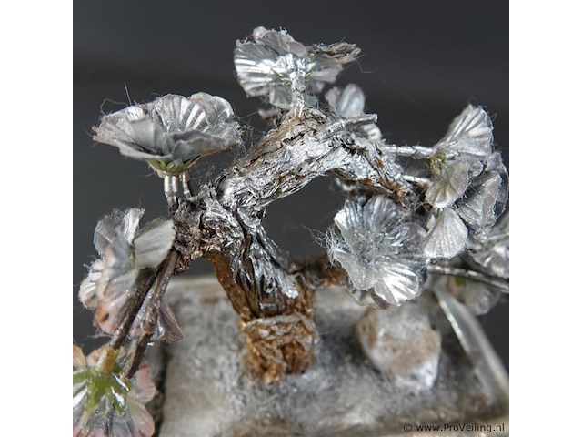 Levensboompje - afbeelding 4 van  5