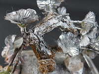 Levensboompje - afbeelding 4 van  5