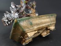 Levensboompje - afbeelding 5 van  5