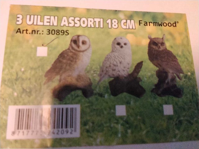 Levensechte uilen op rots. (7x) - afbeelding 1 van  2