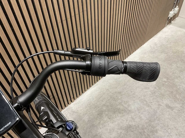 Levit beleco 3 over 55 allspice 540 elektrische fiets - afbeelding 50 van  89