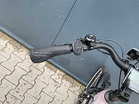 Levit beleco 7 low 50 rose 540 elektrische fiets - afbeelding 5 van  70