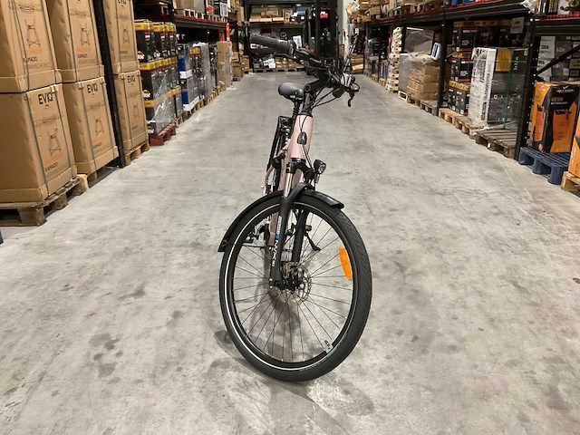 Levit beleco 7 low 50 rose 540 elektrische fiets - afbeelding 48 van  70