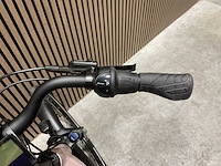 Levit beleco 7 low 50 rose 540 elektrische fiets - afbeelding 68 van  70
