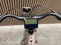 Levit beleco 7 low 50 rose 540 elektrische fiets - afbeelding 56 van  63