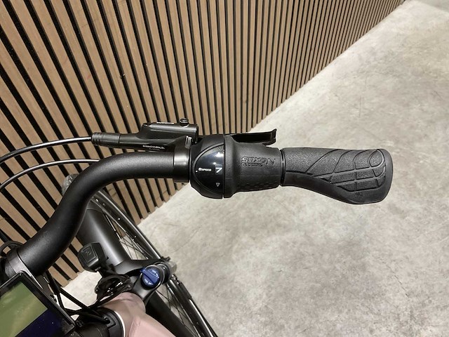 Levit beleco 7 low 50 rose 540 elektrische fiets - afbeelding 57 van  63