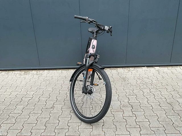 Levit beleco 7 low 50 rose 540 elektrische fiets - afbeelding 74 van  89