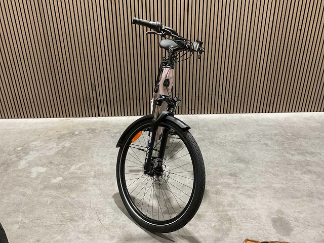 Levit beleco 7 low 50 rose 540 elektrische fiets - afbeelding 62 van  89