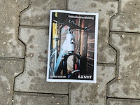 Levit beleco 7 low 55 emarald 540 elektrische fiets - afbeelding 21 van  83