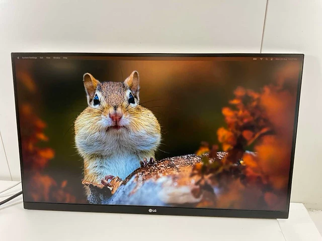 Lg (27ul850/27up850) 27”, 3840x2160 (uhd) ips monitors (2x) - afbeelding 9 van  15