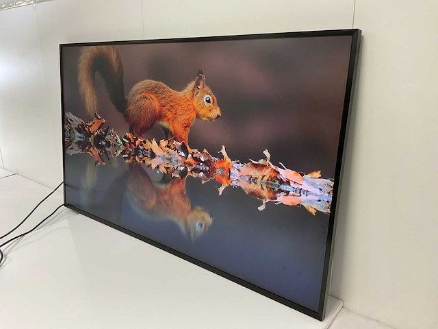 Lg (49uh5f-h) 49”, 3840x2160 (uhd) ips monitor - afbeelding 2 van  5