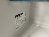 Liebherr - 1021 index 21e/001 - koelkast - afbeelding 7 van  9