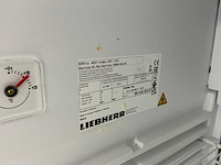 Liebherr - 211 001 - vriezer - afbeelding 7 van  7