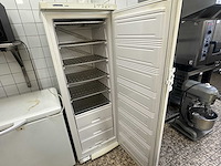 Liebherr - comfort - hoge vrieskast - afbeelding 1 van  4