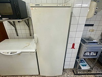 Liebherr - comfort - hoge vrieskast - afbeelding 2 van  4