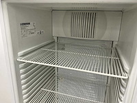 Liebherr - fkv 3640 - koelkast - afbeelding 6 van  6