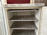 Liebherr - gs5203 - vriezer - afbeelding 2 van  5