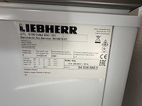 Liebherr - gtl 6106 - vrieskist - afbeelding 4 van  8