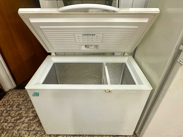 Liebherr - gts 2626 - vrieskist - afbeelding 1 van  7