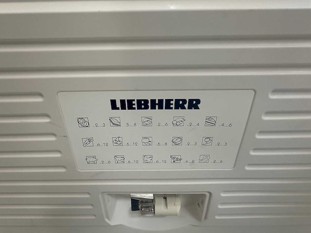Liebherr - gts 2626 - vrieskist - afbeelding 2 van  7
