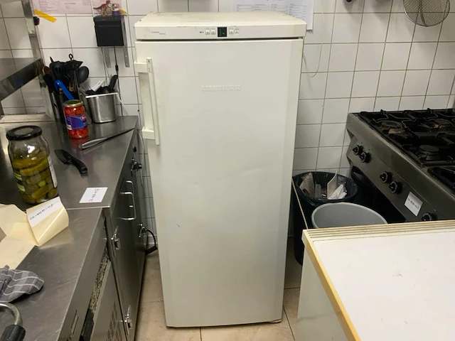 Liebherr - vriezer 144x60 cm - afbeelding 1 van  3
