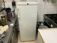 Liebherr - vriezer 144x60 cm