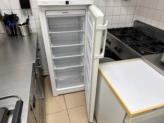 Liebherr - vriezer 144x60 cm - afbeelding 3 van  3