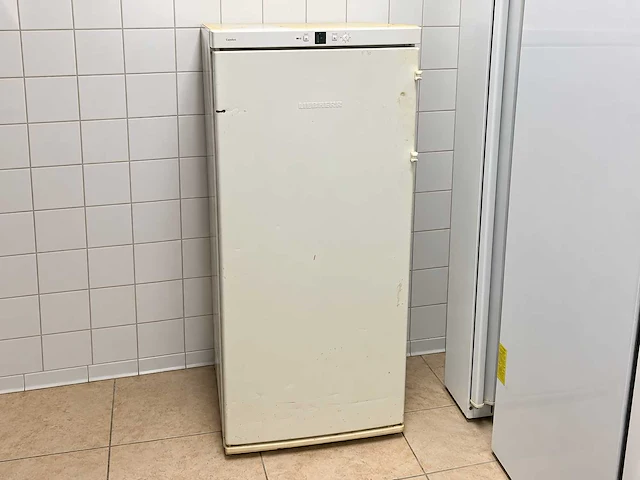 Liebherr - vriezer 144x60 cm - afbeelding 1 van  2