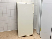 Liebherr - vriezer 144x60 cm