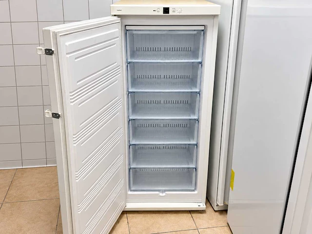 Liebherr - vriezer 144x60 cm - afbeelding 2 van  2