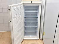 Liebherr - vriezer 144x60 cm - afbeelding 2 van  2