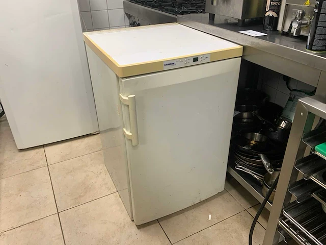 Liebherr - vriezer 85x55 cm - afbeelding 1 van  2