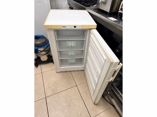 Liebherr - vriezer 85x55 cm - afbeelding 2 van  2