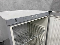 Liebherr - xl koelkast - profipremiumline - afbeelding 6 van  17