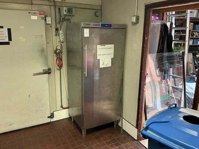 Liebherr 4 6172 4 vriezer - afbeelding 1 van  4